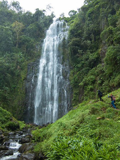 Day Trips