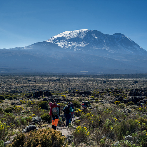 Kilimanjaro1