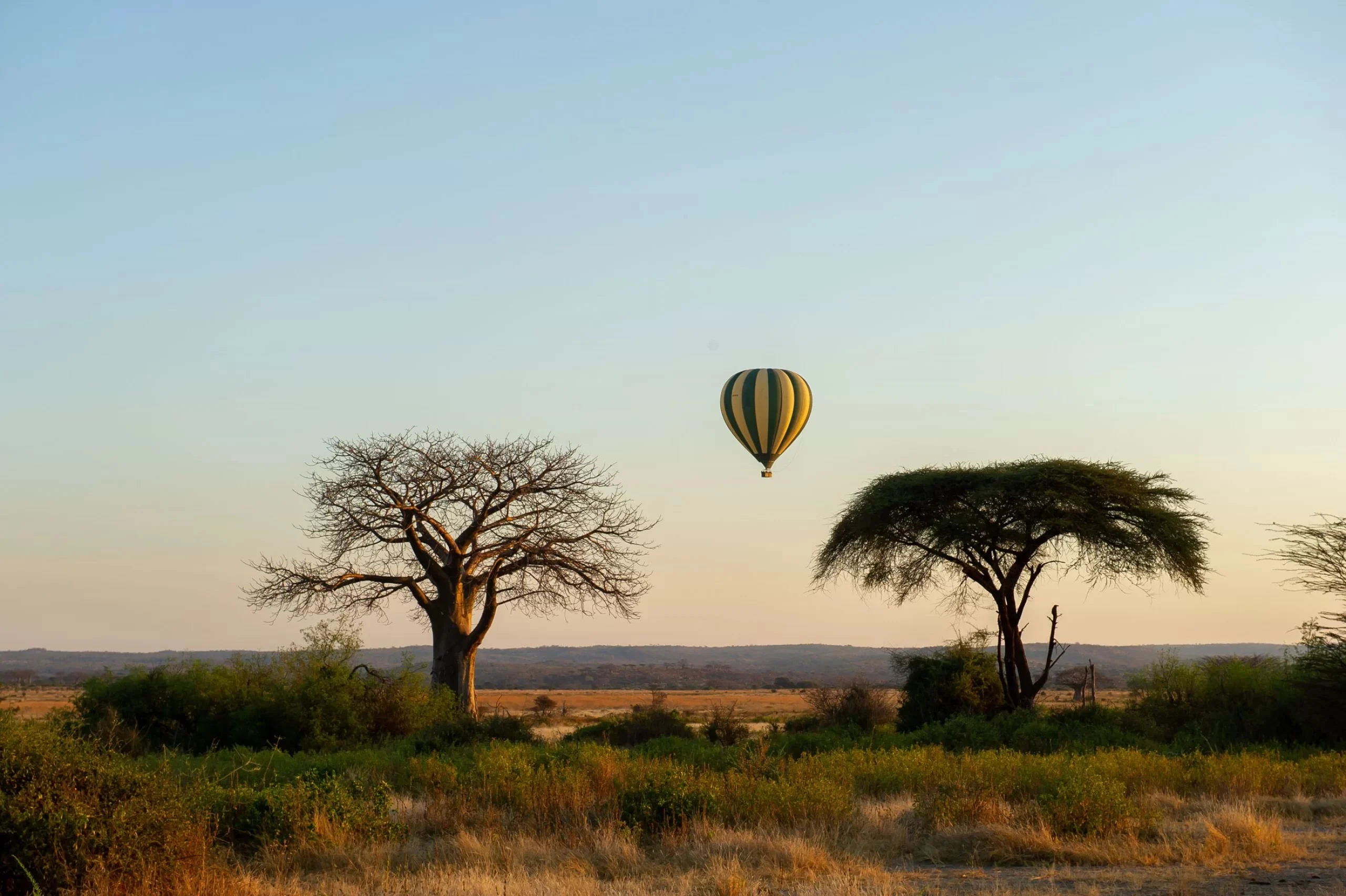 Tanzania Safaris 1